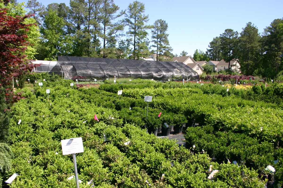 About Us » Stovall & Company